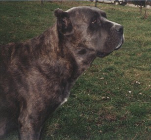 Pic 1