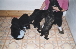 Pic 1